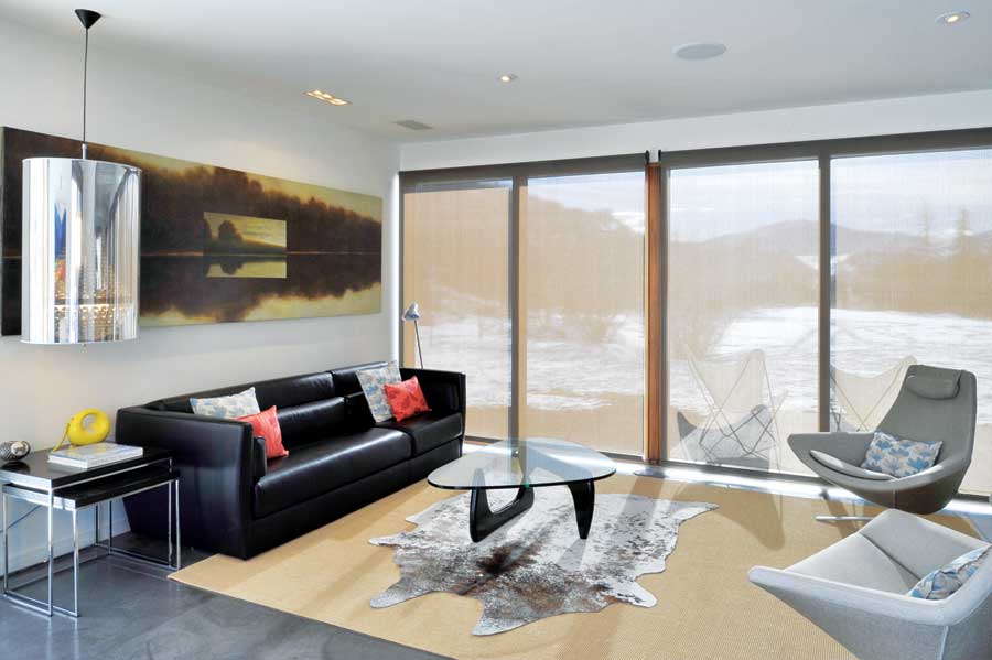 A translucent shade allows in natural light while reducing furniture fade.